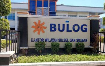 Bulog Pastikan Stok Beras Sulsel Aman hingga 10 Bulan ke Depan 3 Bulog Pastikan Stok Beras Sulsel Aman hingga 10 Bulan ke Depan