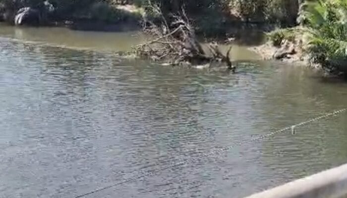 Viral di Medsos! Warga Pinrang Geger, Air Sungai Saddang Berubah Hitam Berbau Busuk