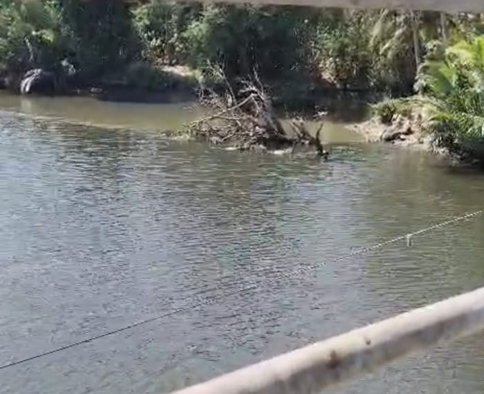 Viral di Medsos! Warga Pinrang Geger, Air Sungai Saddang Berubah Hitam Berbau Busuk 1 IMG 20260822 033742