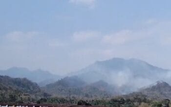 Kebakaran Hutan di Gunung Desa Kaballangang, Warga Minta Penanganan Cepat 2 WhatsApp Image 2026 08 30 at 22.31.21